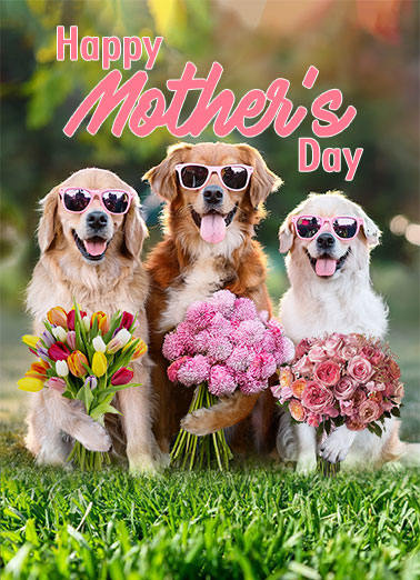 cut funny Mother's Day card