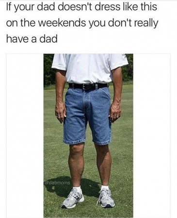 lustiges vatertag meme über papa mode