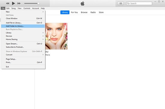 how to add spotify songs to itunes library