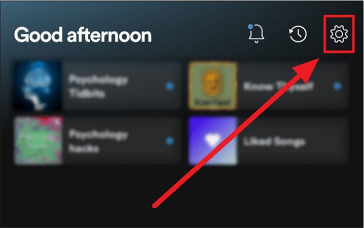 spotify ai dj non viene visualizzato reddit