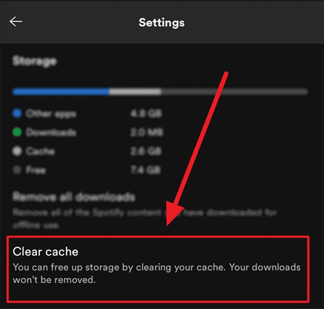 ai dj non viene visualizzato su spotify