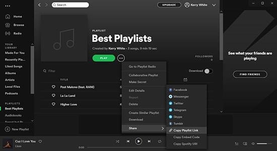 copia el enlace de la lista de reproducción de spotify