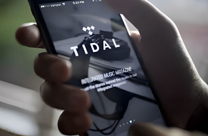 How to Get TIDAL Stats 2024