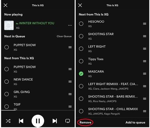 Remove a song from the queue