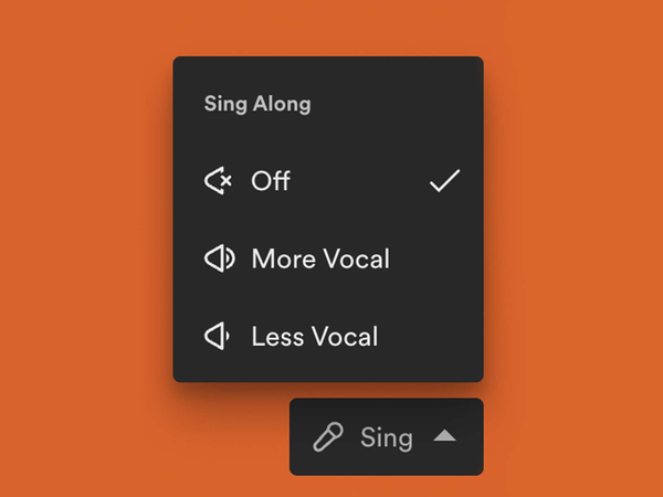 So bekommen Sie den Karaoke-Modus von Spotify im Jahr 2024