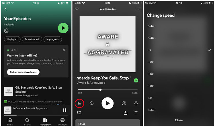 How to Change Spotify Playback Speed on Phone/Computer