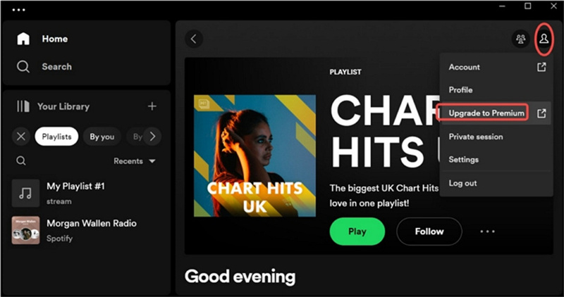 ai dj spotify non viene visualizzato