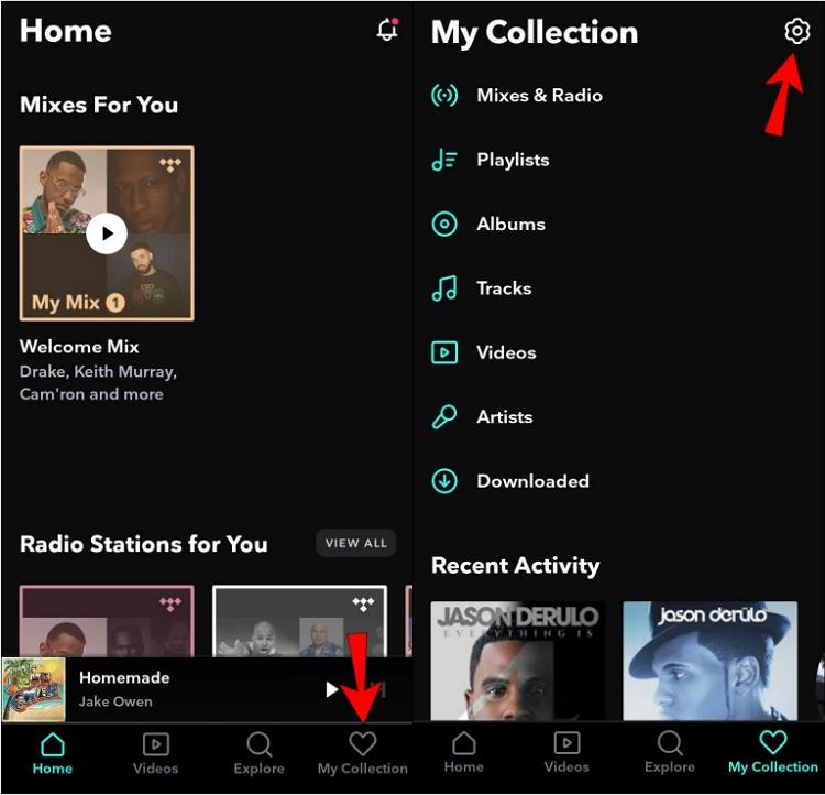 타이달 패밀리 플랜 가격