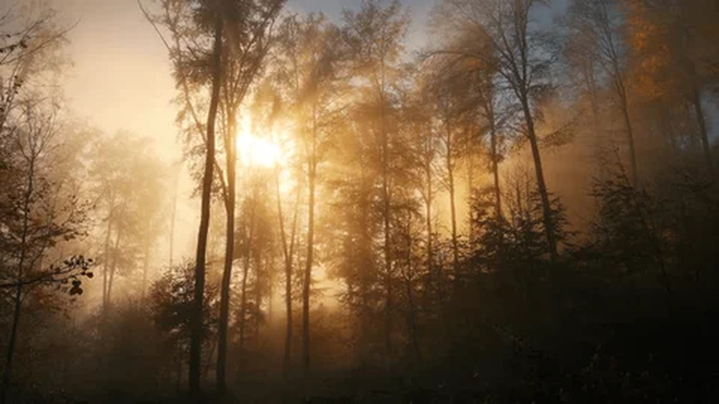 nature photography chatgpt prompt