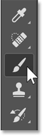 セレクティング・ザ・ブラッシュ