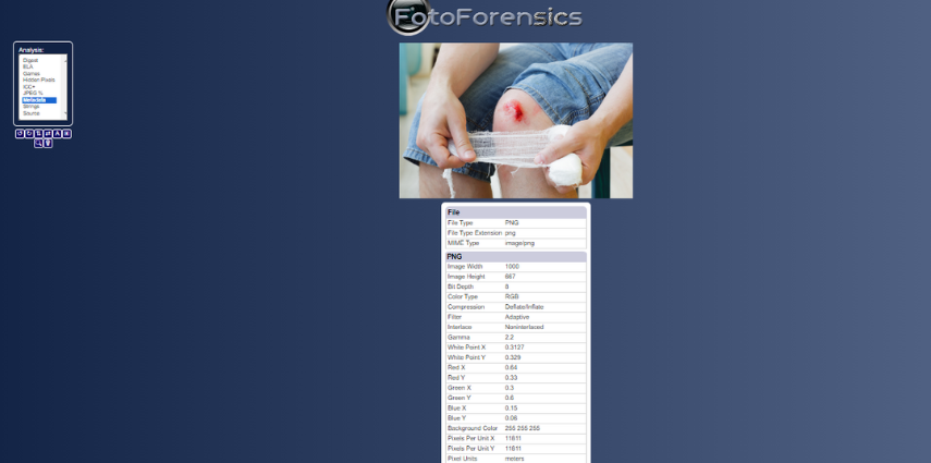AI image detector by FotoForensics