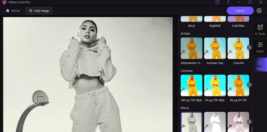 Hitpaw Fotorpea recolorer une image