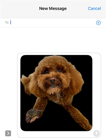 how-to-change-photo-background-on-iphone-10