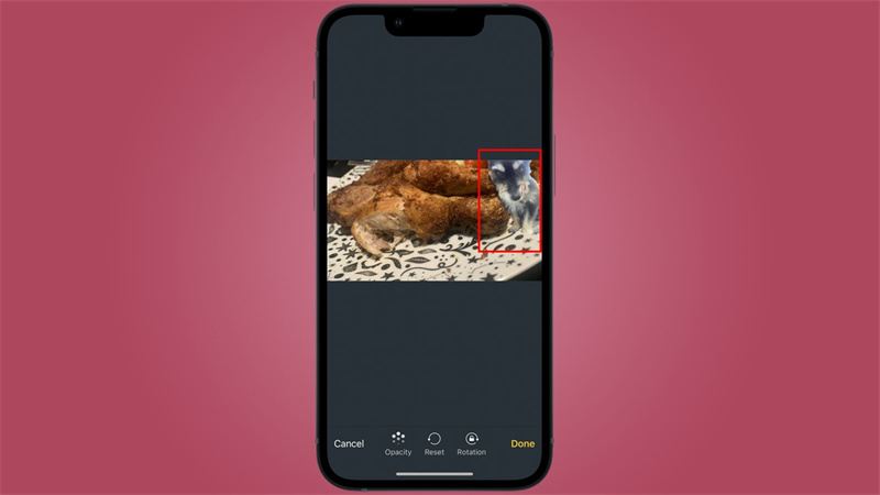 How to Overlay Images on iPhone with Detailed Guide