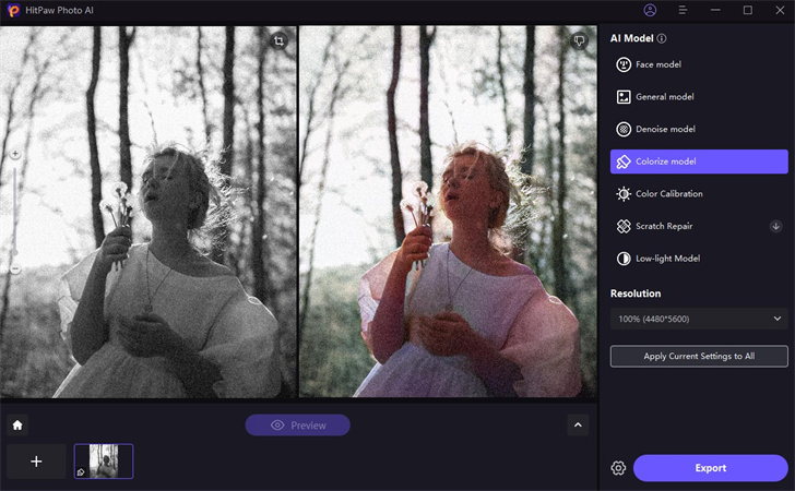 가족사진 색상표