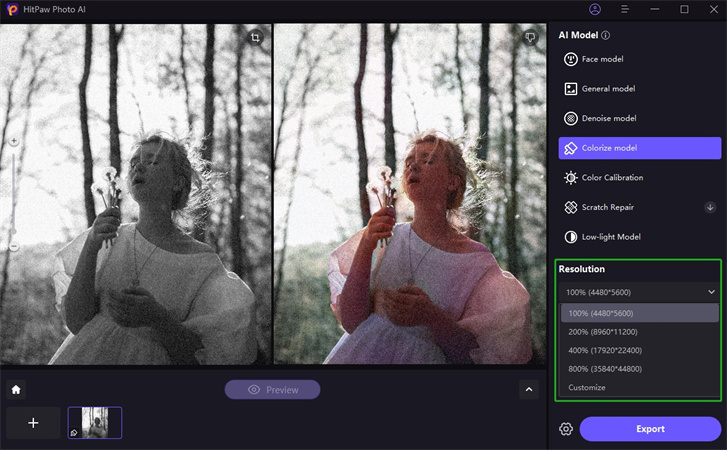 가족 사진 색상표