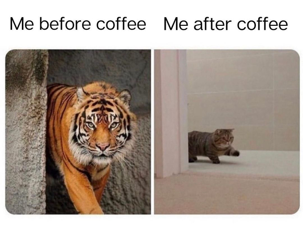 ميم قبل وبعد