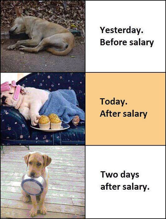 ميمز قبل وبعد