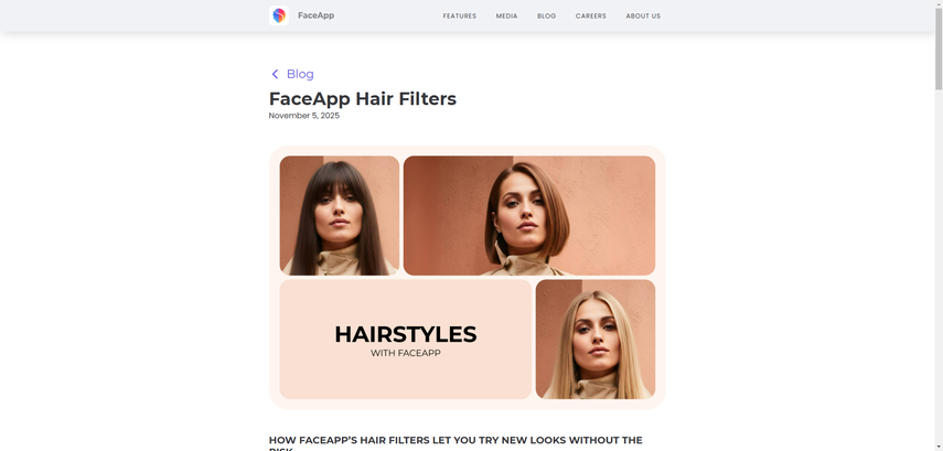 brown-hair-filter-11