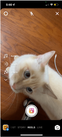How to repost a reel on Instagram Story