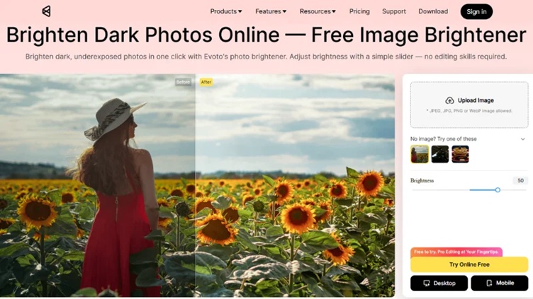 opening the evoto ai image brightener tool
