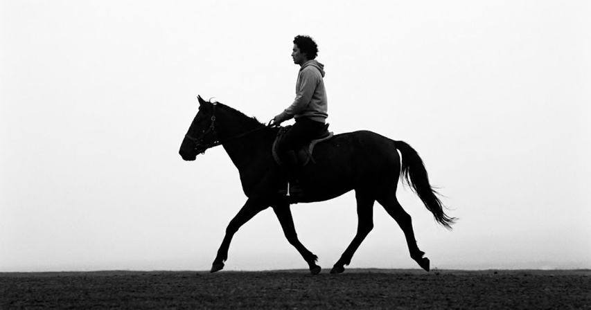 side silhouette riding aura farming minimalist horse portrait
