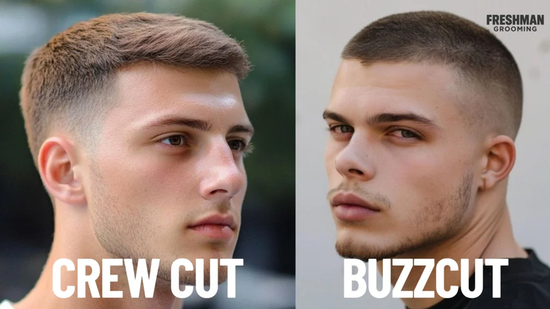 difference between crew cut and buzz cut