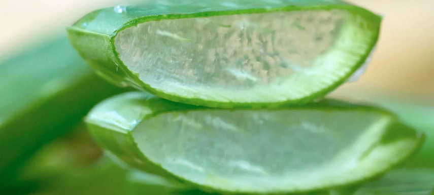 apply aloe vera gel