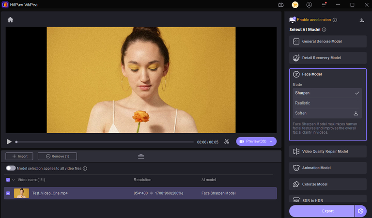 apply ai model and hit preview
