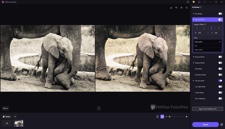 baby elephant