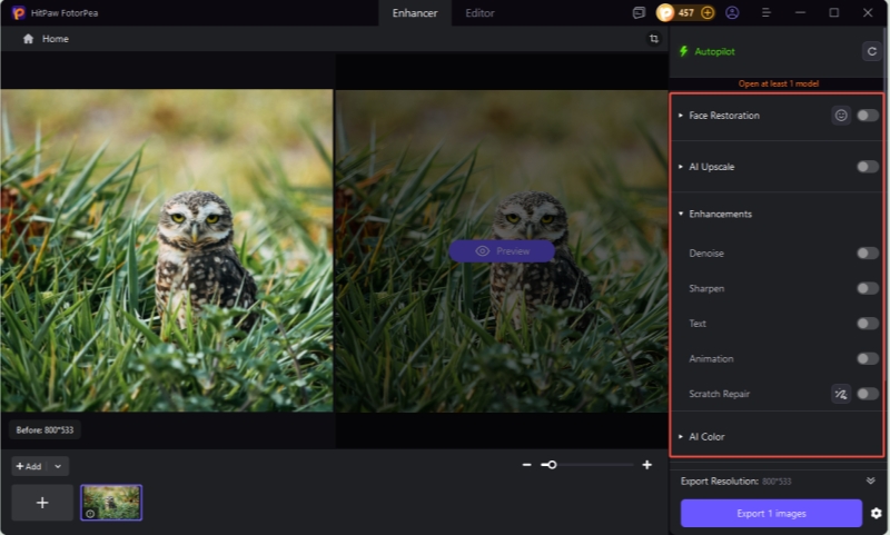 choose ai enhance model for wildlife