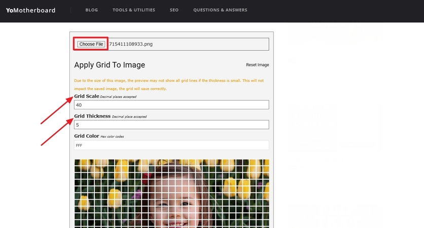 upload image and adjust grid settings