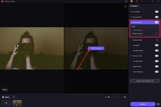 apply ai denoise model