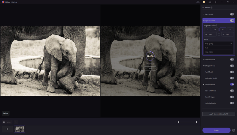 cute baby elephant