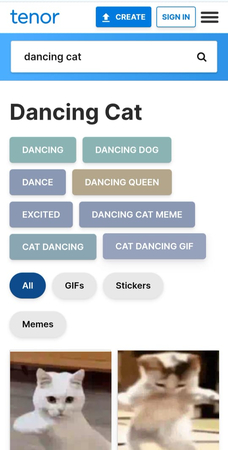 ダンシングキャットミーム
