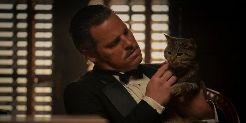 don corleone feeding the cat
