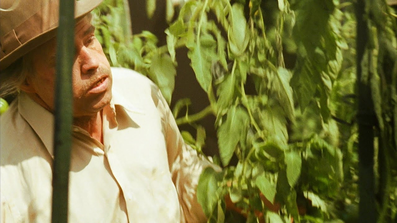 don vito's death in the garden