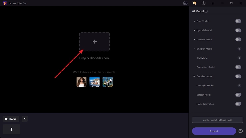 import images to interface