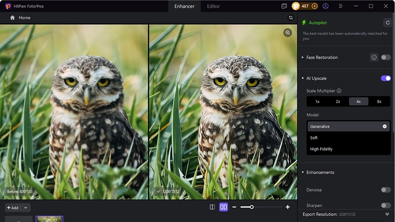 export 4k wildlife photography