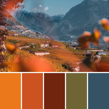 fall color palette