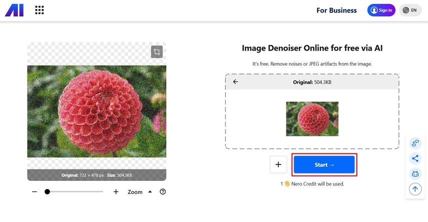 start denoising procedure
