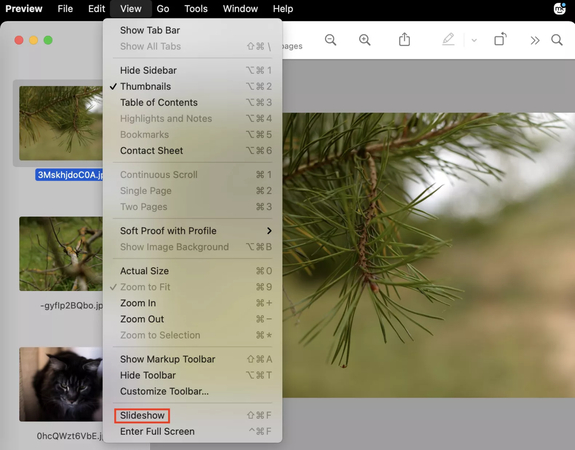 how to create a slideshow on Mac