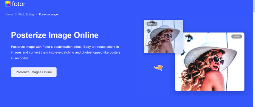 image posterizer