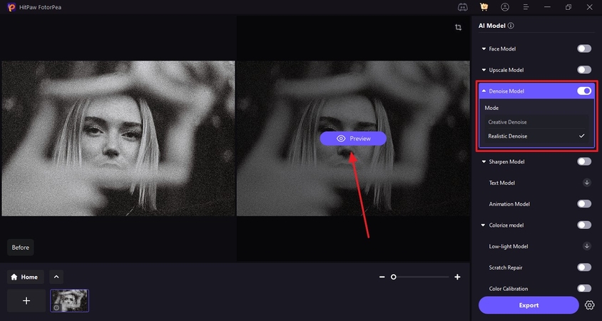 use denoise ai model hit preview