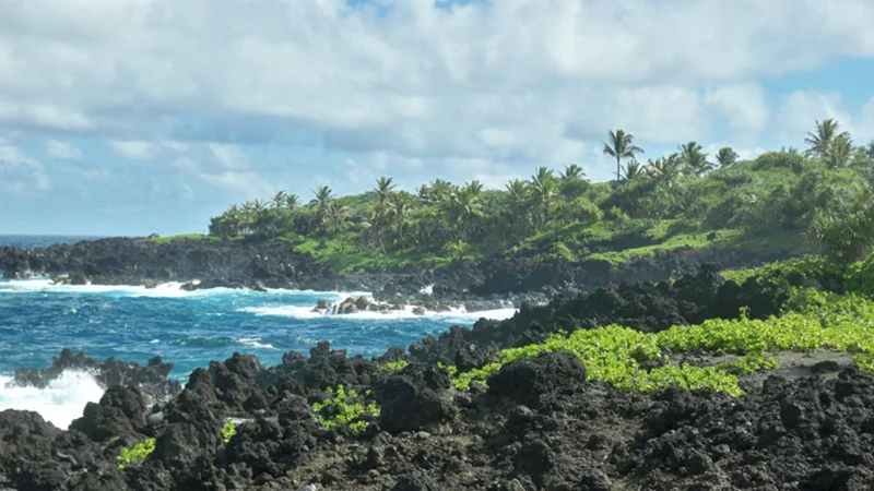 maui hawaii with ocean during march