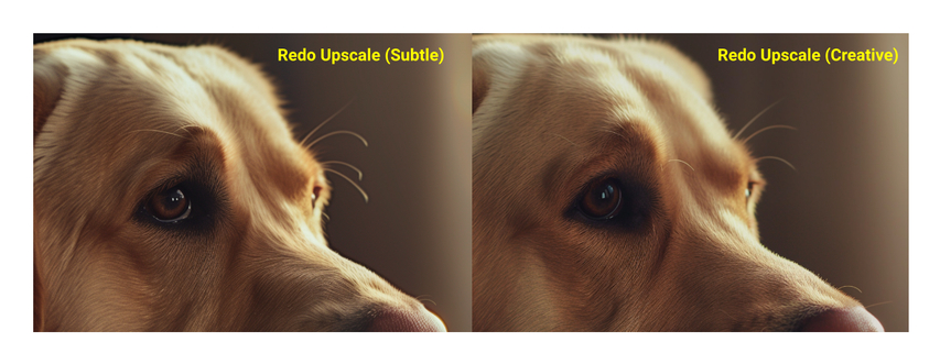 midjourney sublte and creative upscale side by side photo of a dog