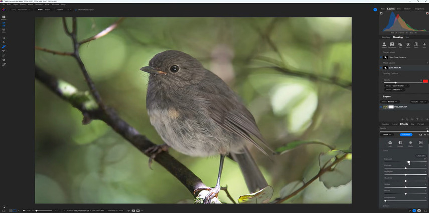 ON1 Photo RAW editing software