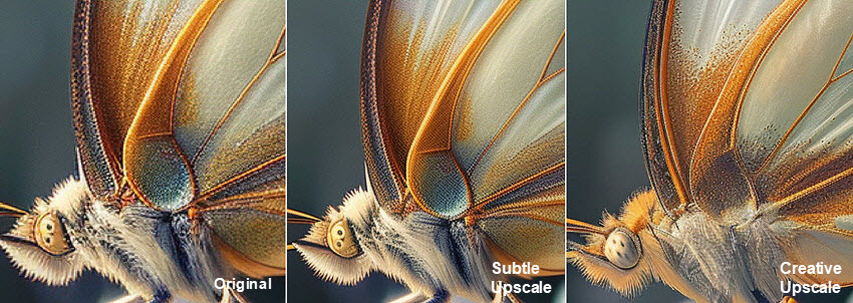 midjourney orignal vs sublte and creative upscale comparison of butterfly