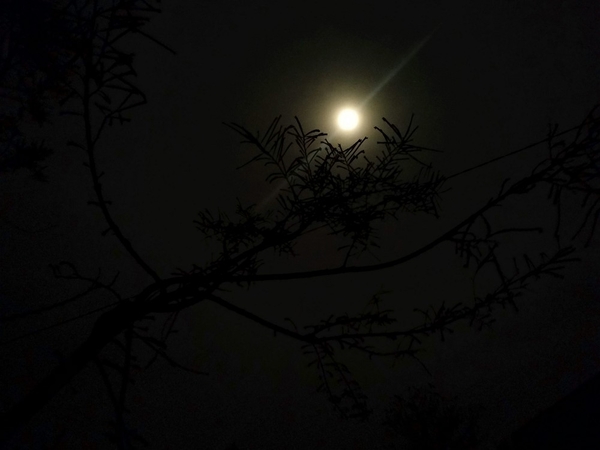 factors that affect night images