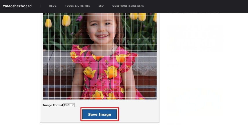 click save image button